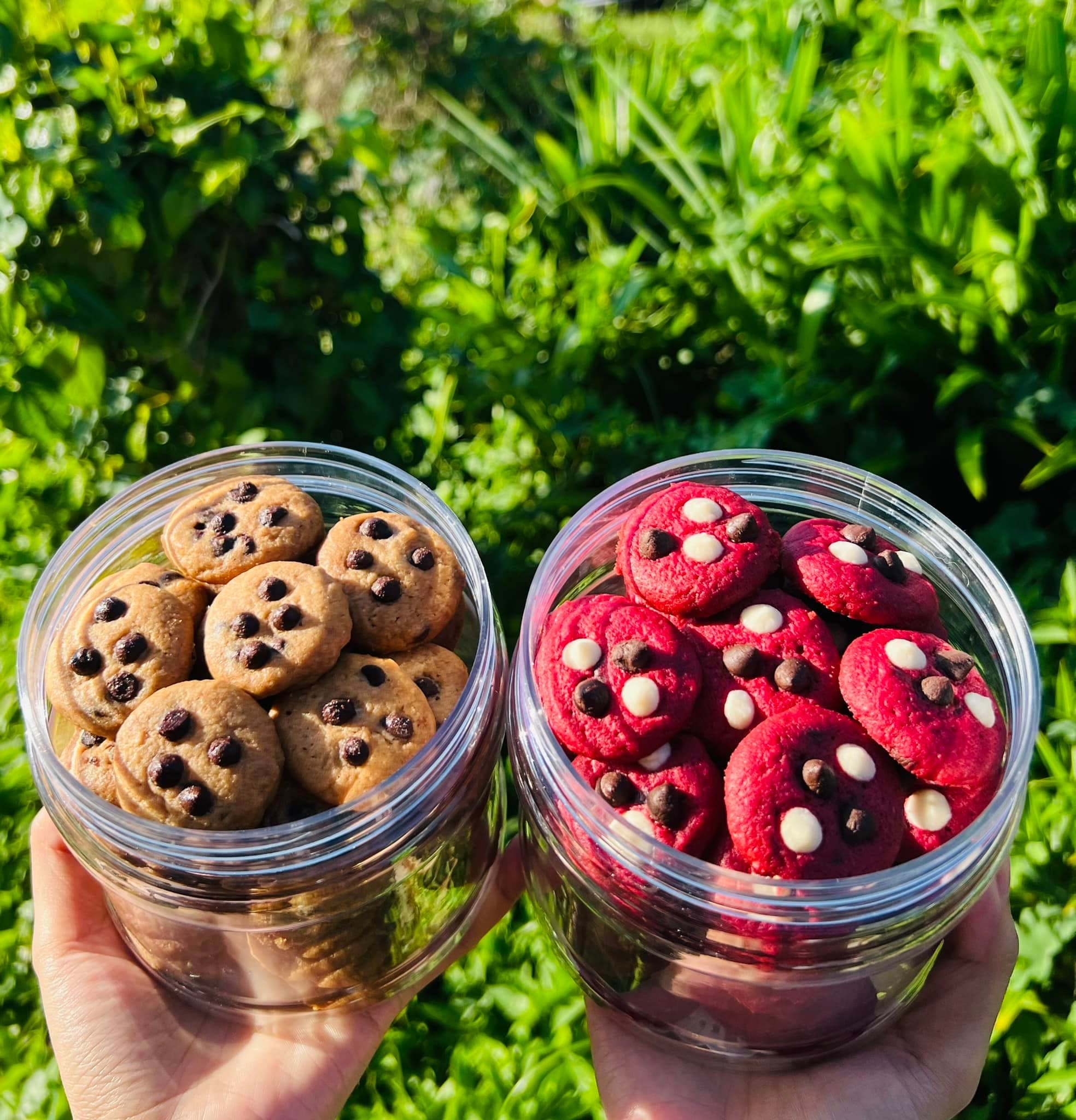 Rainbow Sprinkle Cookies